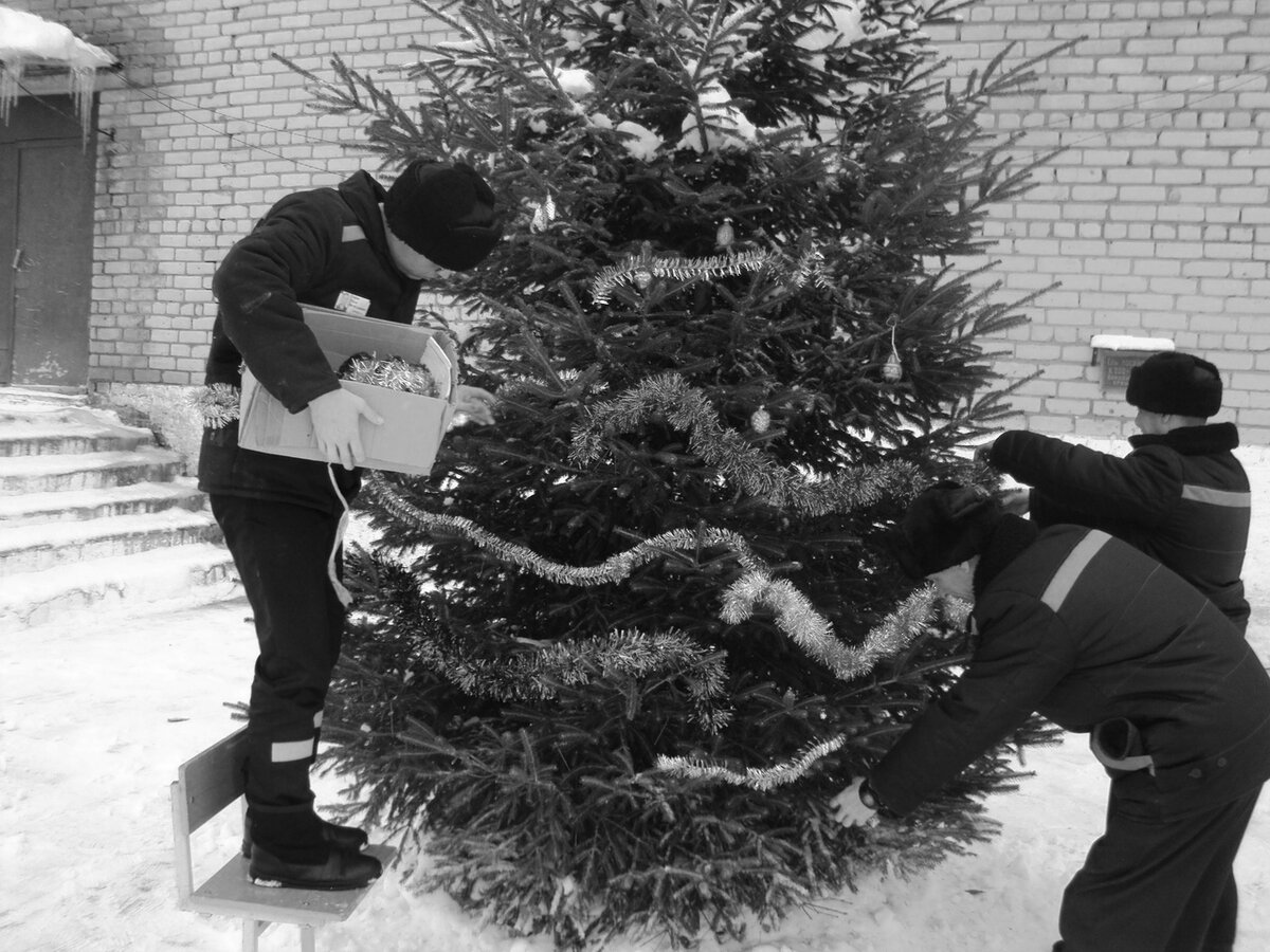 Фото из открытых источников для иллюстрации