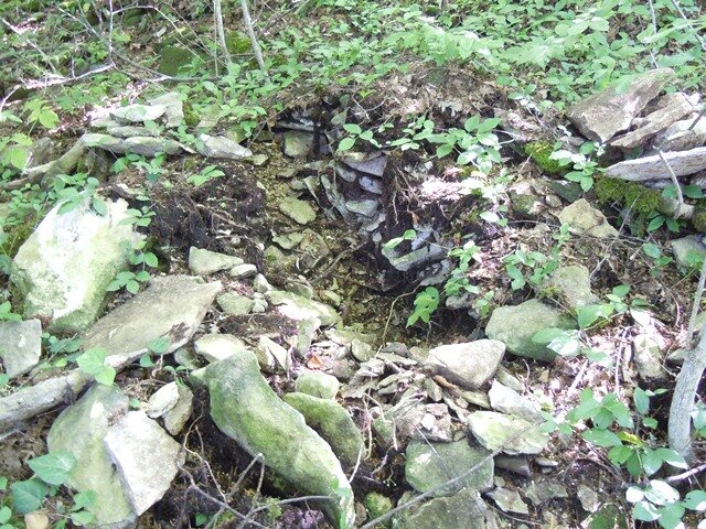 Щегор, курган