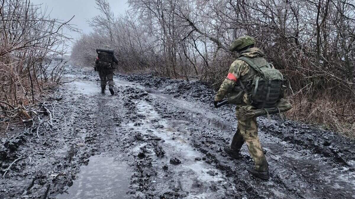    Линия фронта в ЛНР© РИА Новости