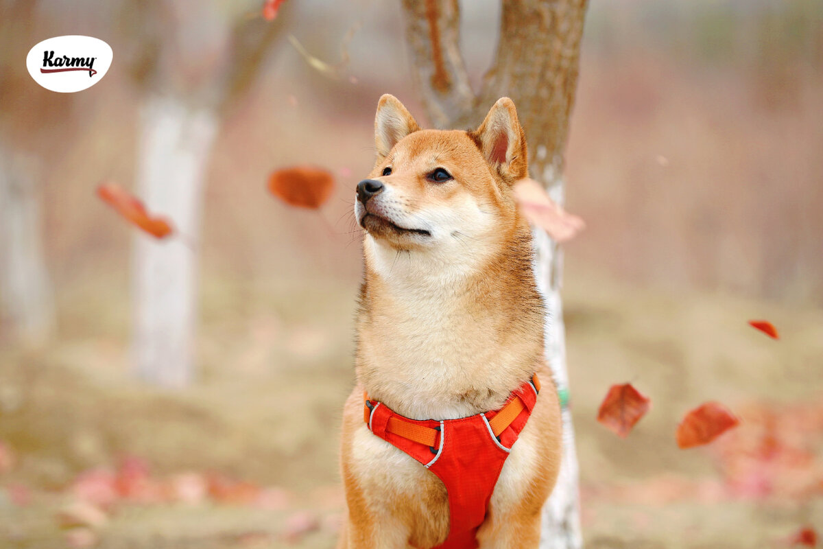 Авторское изображение с использованием картинки с фотостока "Unsplash" 