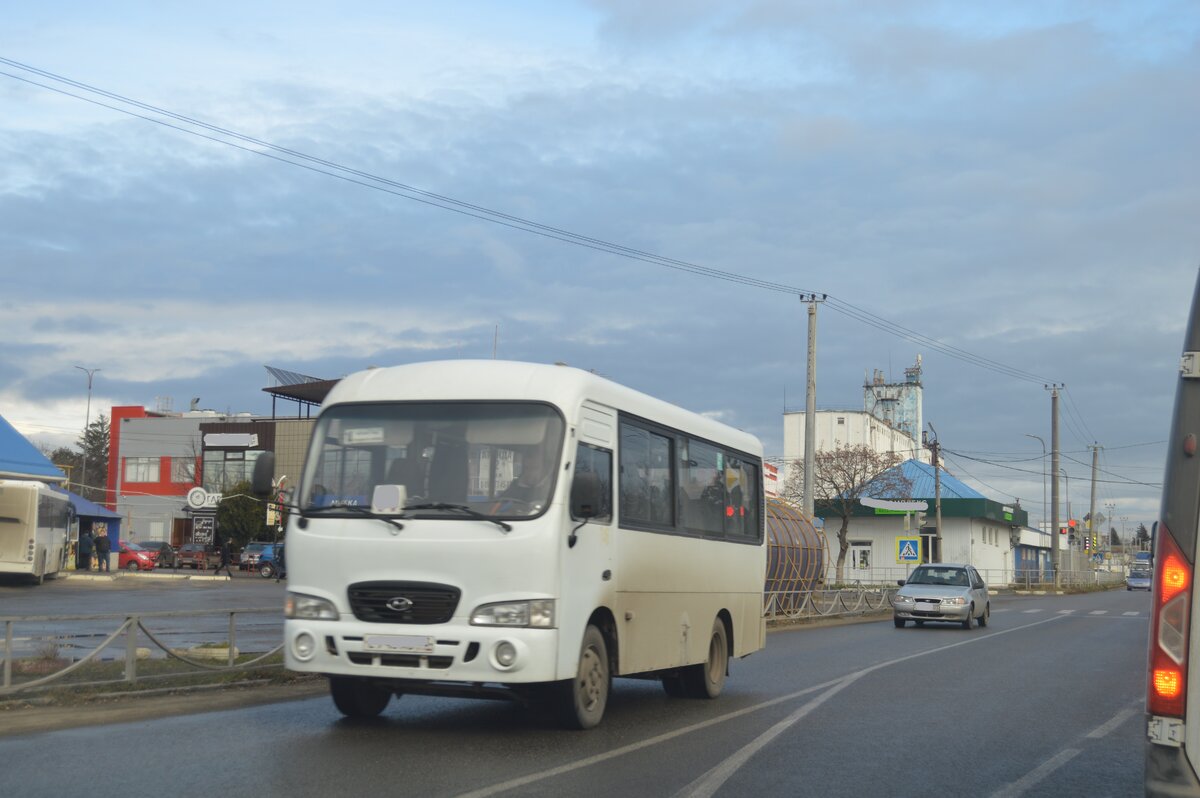 Фото автора. Предновогодний город на Кубани.