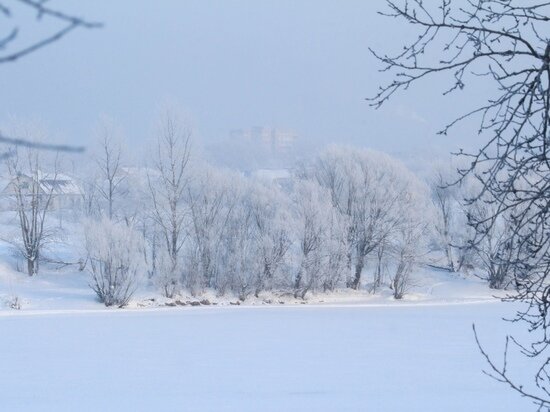   Екатерина Царева
