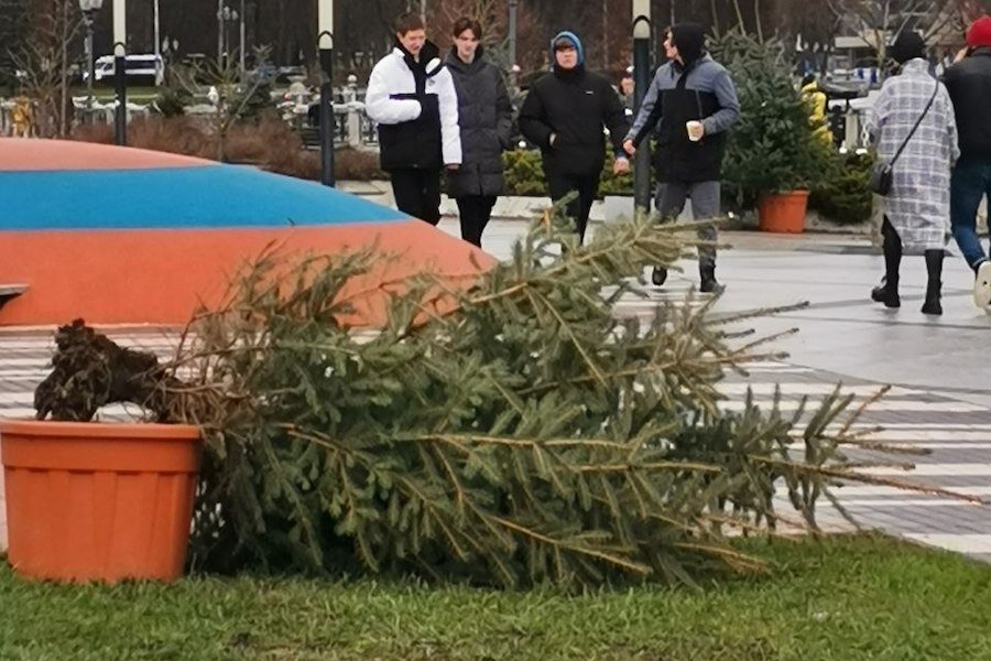 Фото очевидца