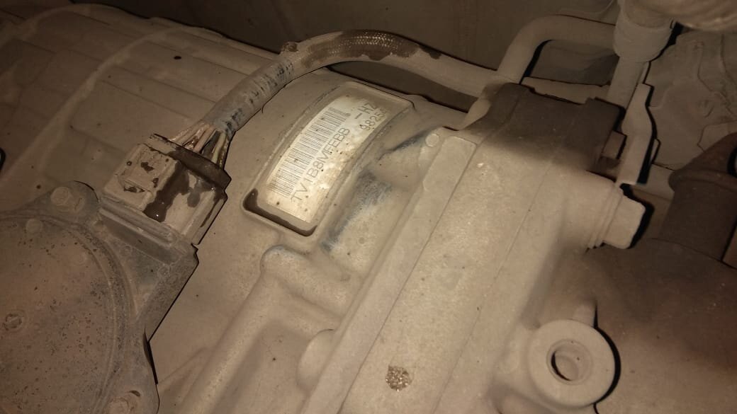 В моем случае это TV1