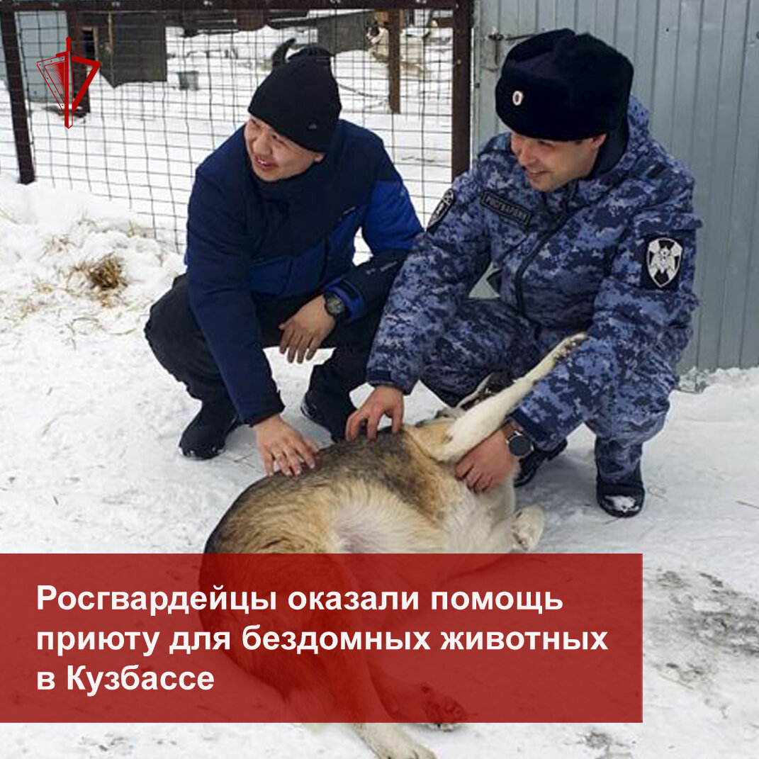 В Юрге (Кемеровская область) сотрудники вневедомственной охраны Росгвардии по доброй традиции посетили в новогодние праздники городской пункт временного пребывания бездомных животных и оказали...