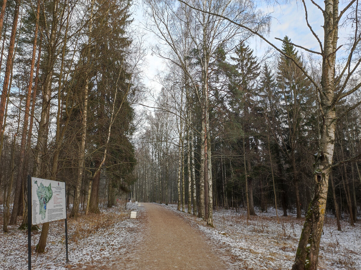 В Шуваловском парке
