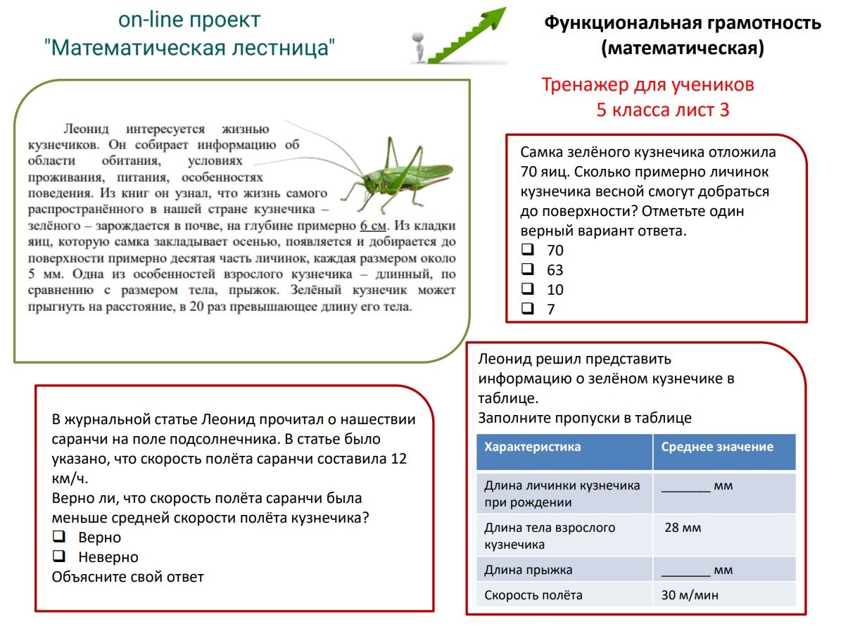 Функциональная грамотность 8 класс 1 февраля