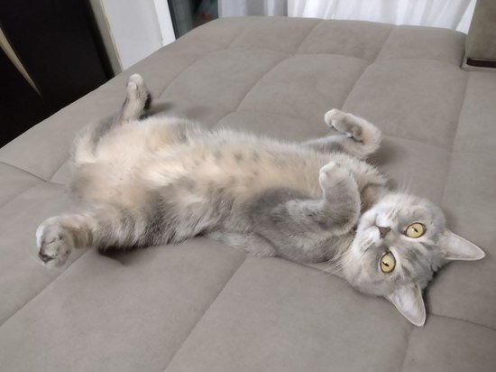     Фото: МК Ямал