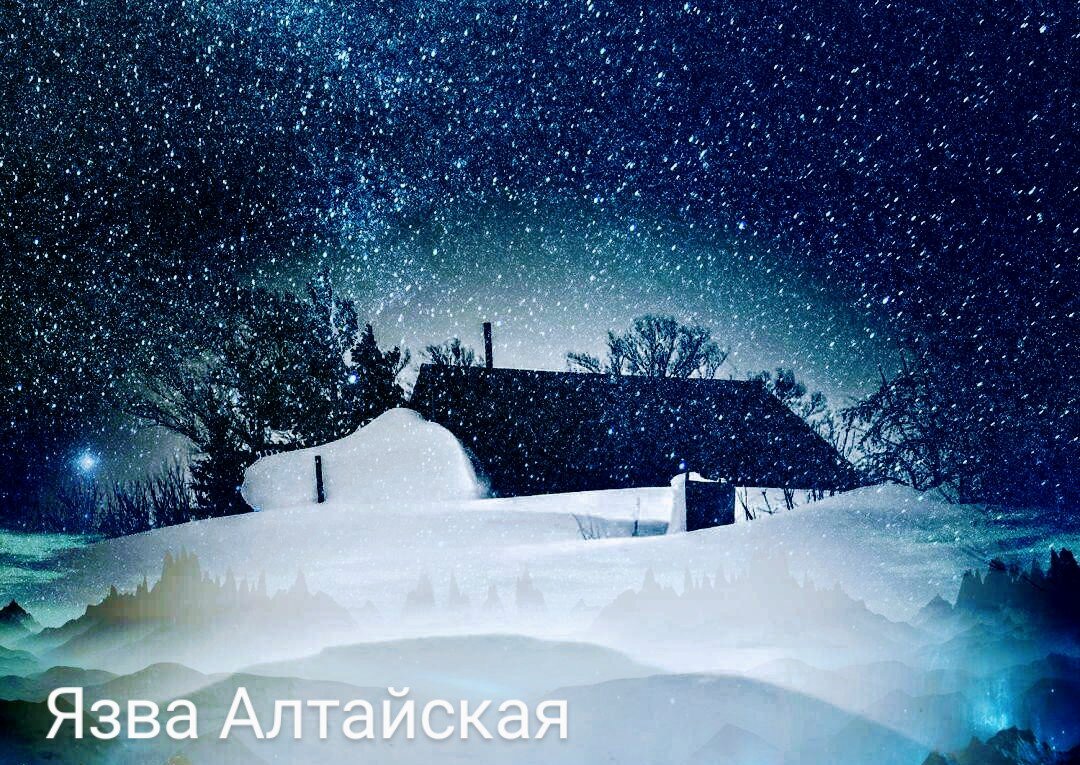 Фото моё. Немного обработала в фоторедакторе для нужного эффекта