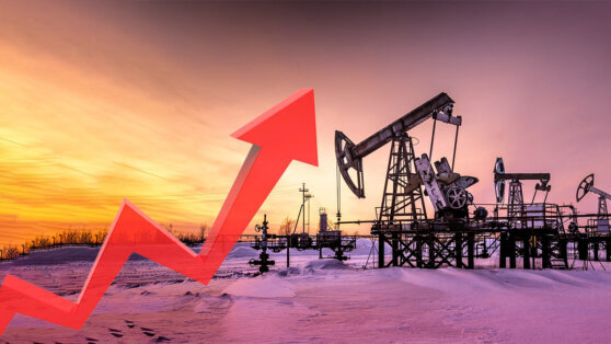    Мировые цены на нефть начали неделю с роста Ирина Петрова