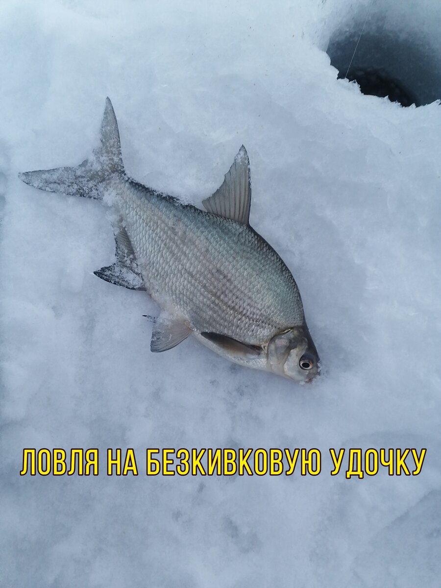 Обложка статьи 