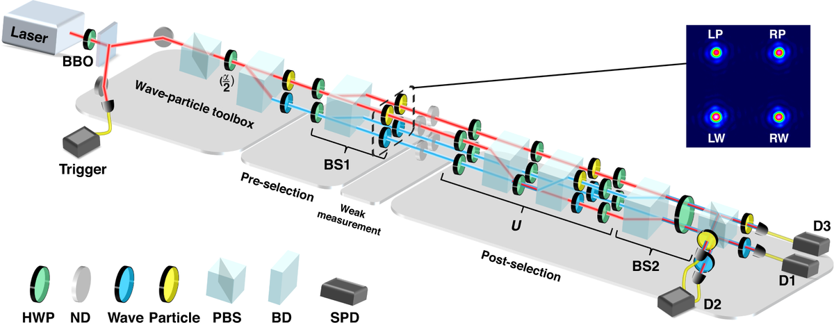   Jia-Kun Li et al. / Light: Science & Applications, 2023