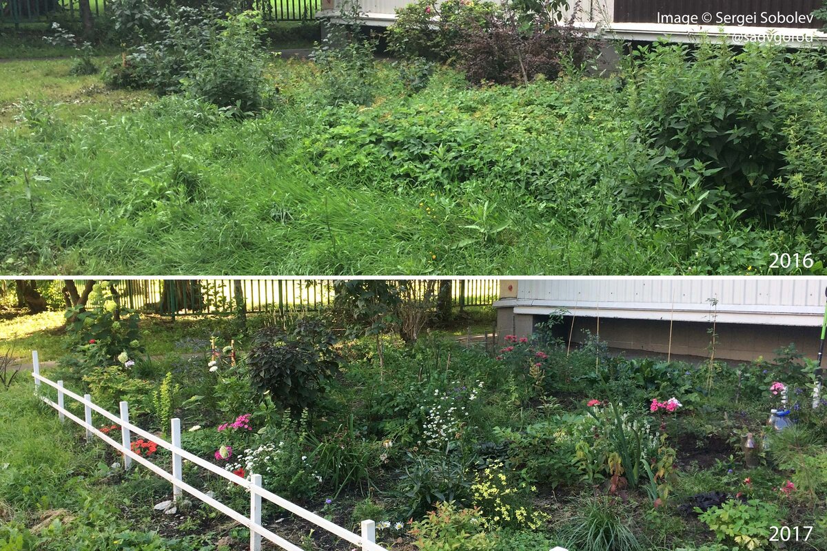 Было/стало: нулевой (2016 г.) и первый (2017 г.) сезон палисадника.