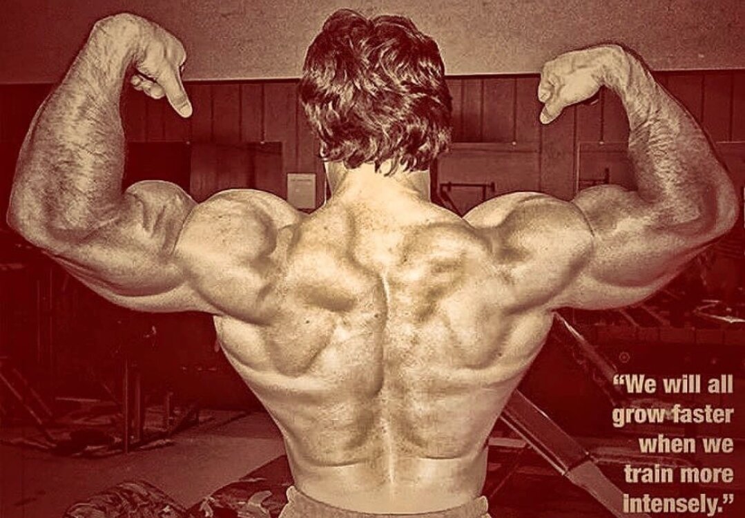 Чтобы дирижировать оркестром, повернитесь к публике спиной 