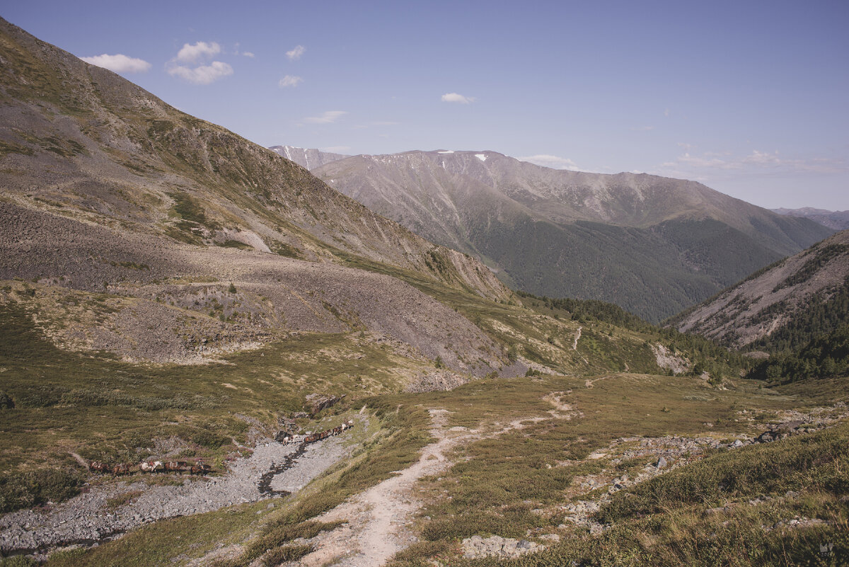 Подъём от кедровых стоянок.
