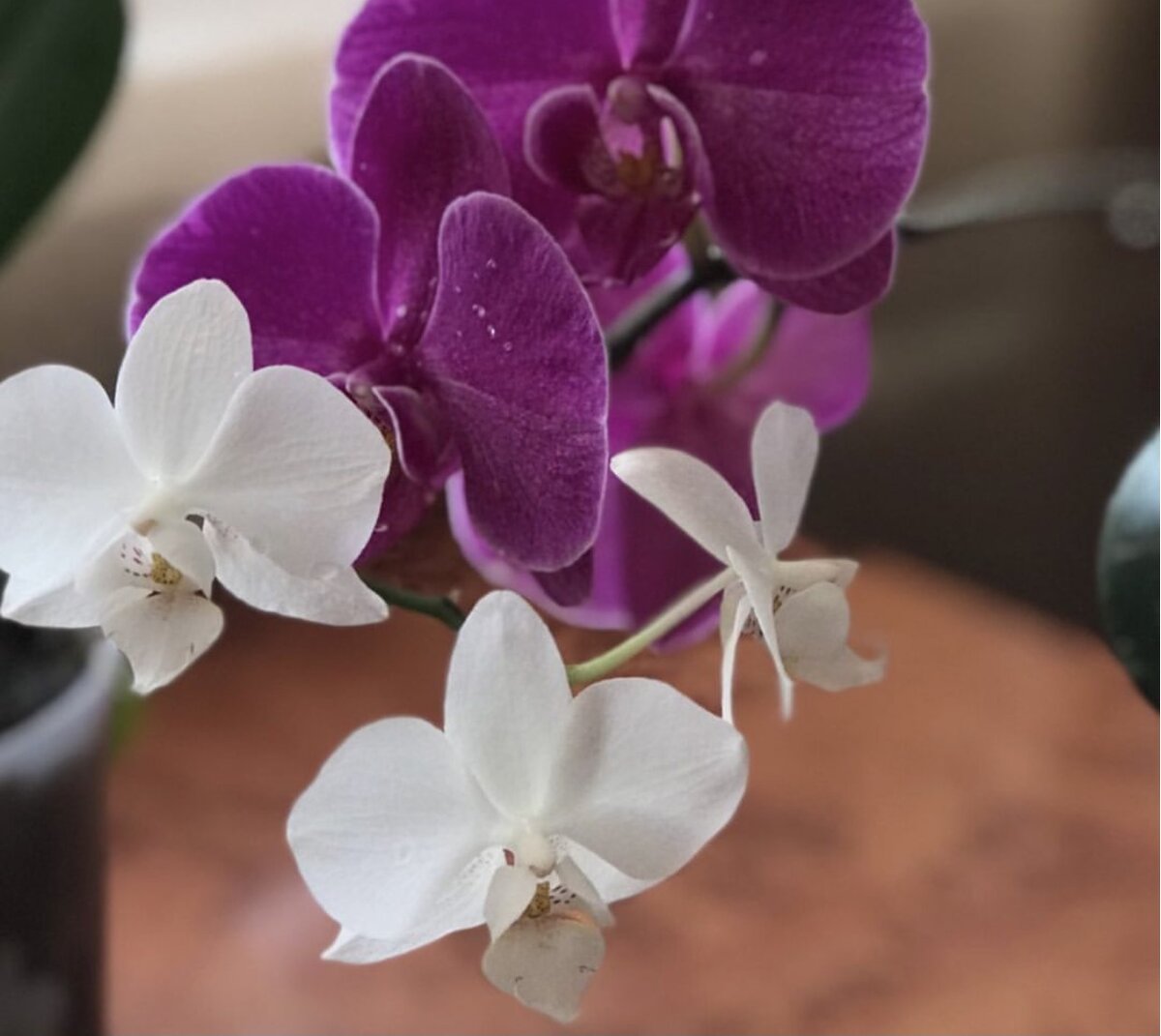 Все фото Автора канала.