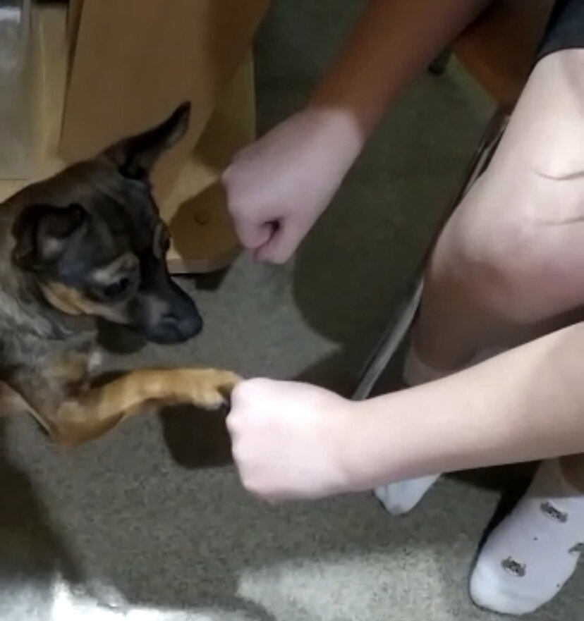 Умница Симона 