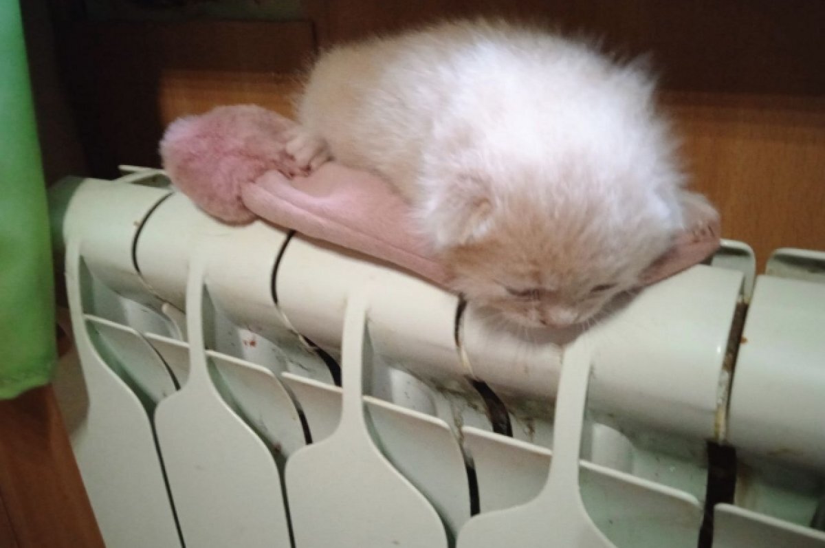    В Сорочинске дали тепло