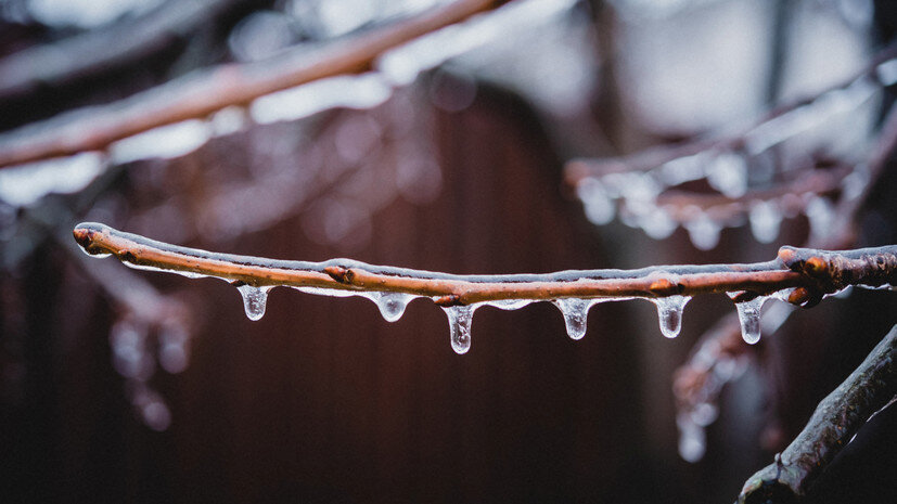   Gettyimages.ru Marina Andriychuk / EyeEm