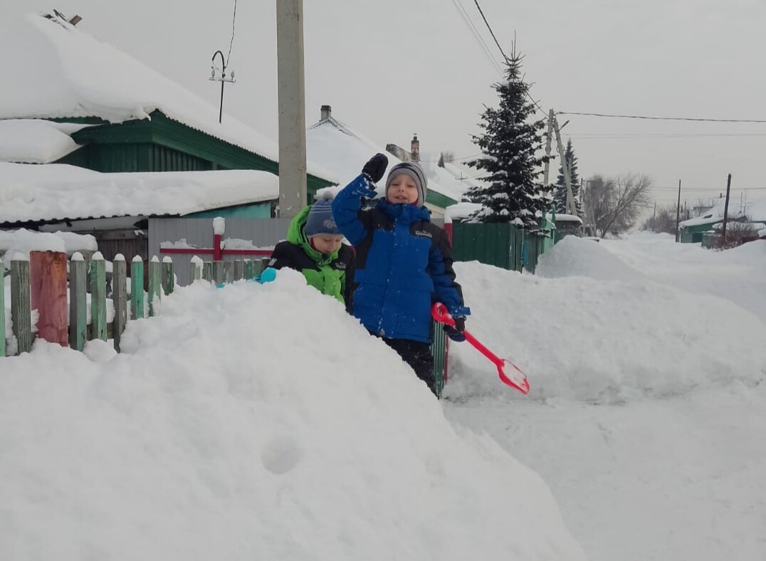 Смотрите, какие ёлочки у наших соседей растут! И у этих ещё маленькие, а вот у соседей, что по улице ниже живут, там здоровенные ёлки. Я в следующем году посажу во дворе