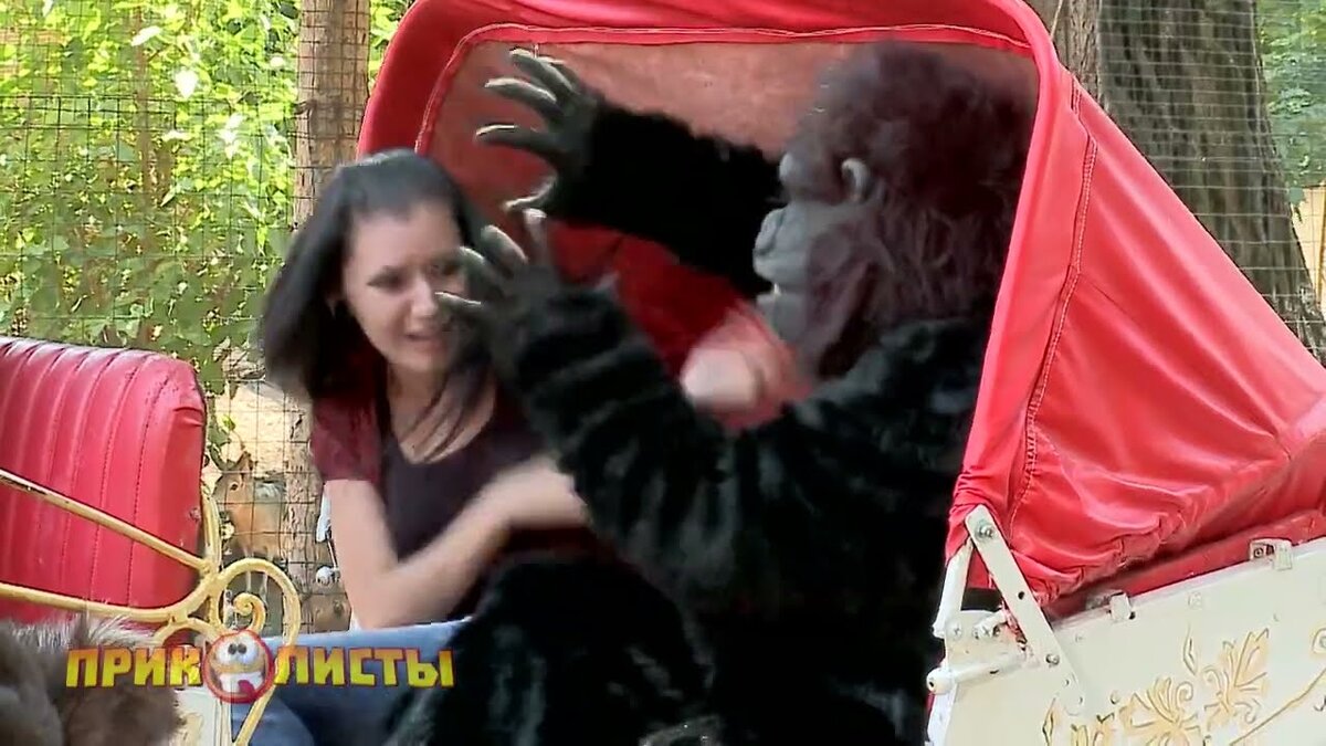 Смейся с нами, до слёз