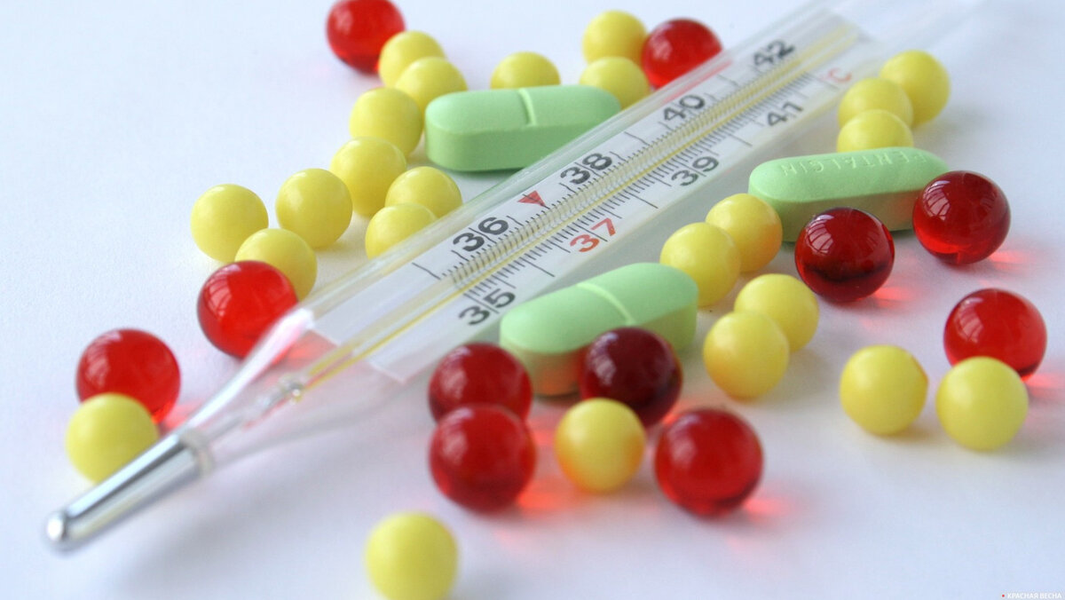 Фото из свободного доступа