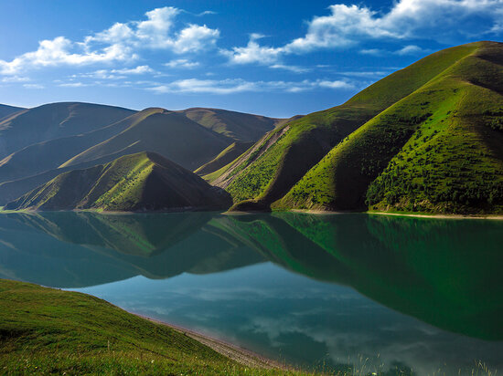     Фото: chechnya.gov.ru