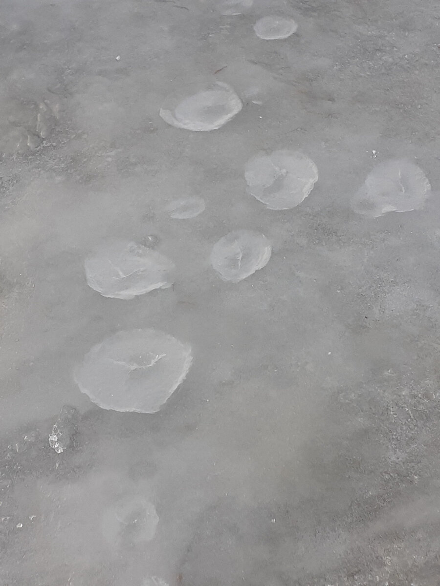 Мороз сейчас около минуса 10 градусов