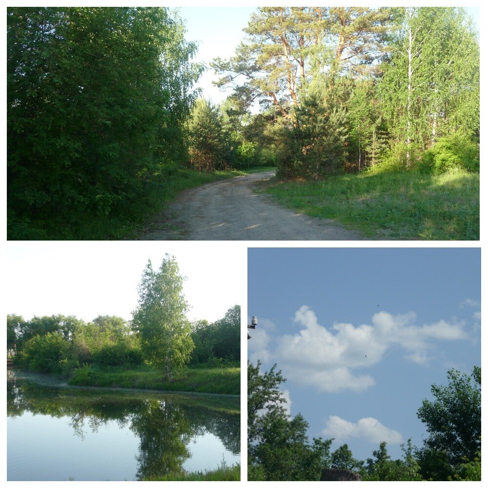 Все фотографии в этом фотоколлаже мои!