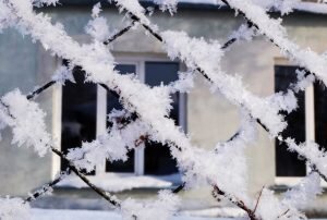    Фото: unsplash.com / Raisa Milova Гульназ Астахова