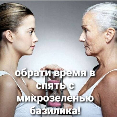 Микрозелень базилика – это супер еда с высоким содержанием антиоксиданта сквалена и ферментов. При систематическом употреблении ростков базилика в пищу организм становится готов самостоятельно справляться с преждевременным старением, простудными заболеваниями, артритом и атеросклерозом.
Сквален способствует замедлению старения за счет уничтожения свободных радикалов, например, инфекций. Поэтому с уверенностью можно сказать, что микрозелень базилика улучшает иммунитет, придает сил и помогает организму справляться с бактериями и вирусами.