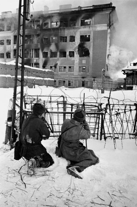 Решающие бои за Воронеж, 25 января 1943 г. | Фото: Аркадий Шайхет