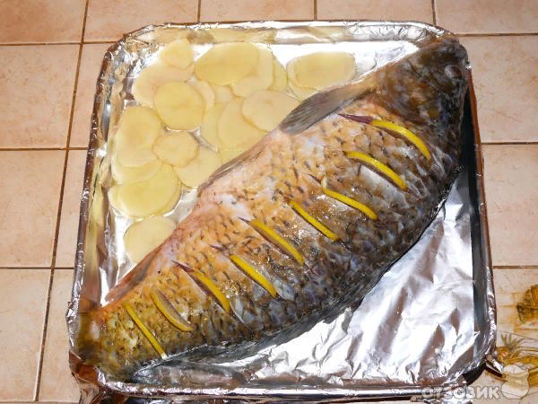 Карп, запеченный в фольге на луковой подушке рецепт – Европейская кухня: Основные блюда. «Еда»