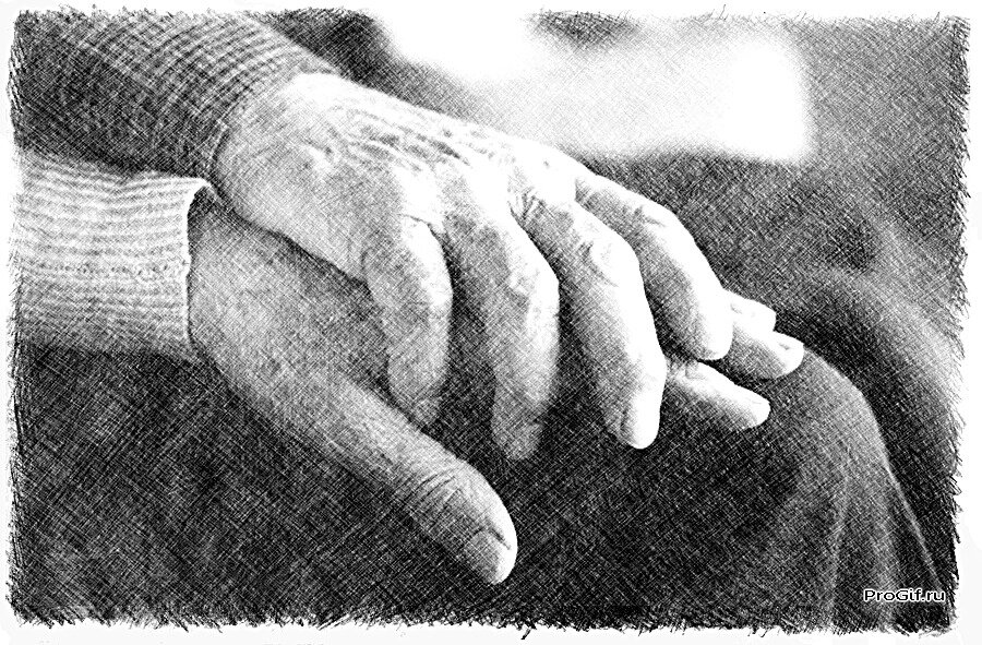 Фото из открытого источника