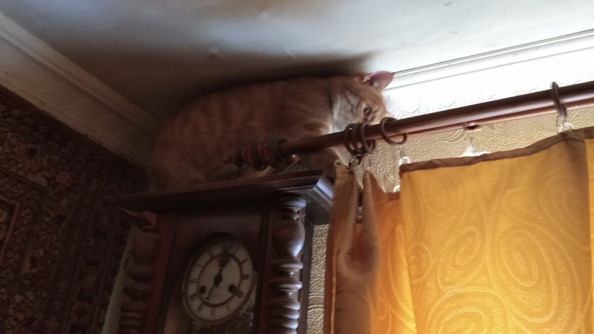 Личное  фото