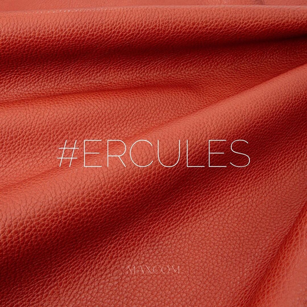Maxcom Leather / Ercules Terra