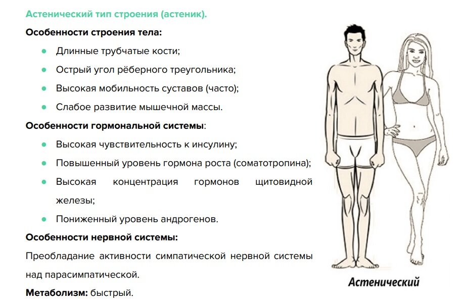 Типы телосложения у мужчин