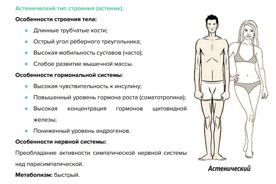 Типы телосложения. Соотношение роста и веса