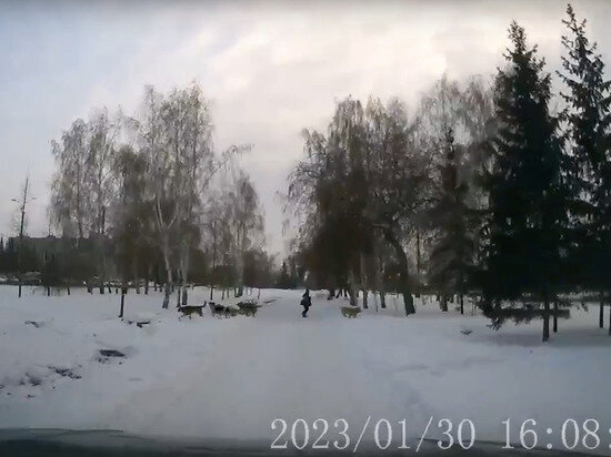     Фото: скриншот с видео