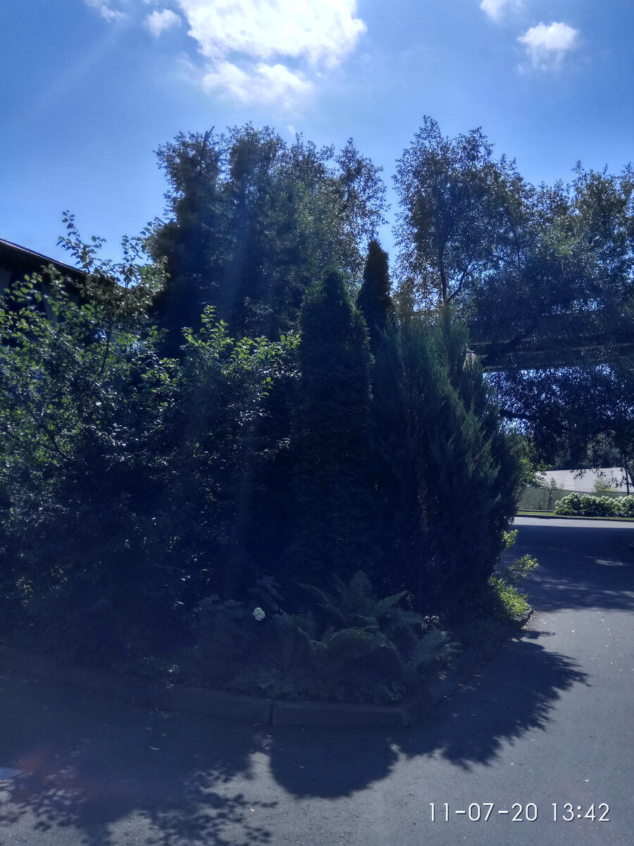 Прогулки по Москве. Фото автора 