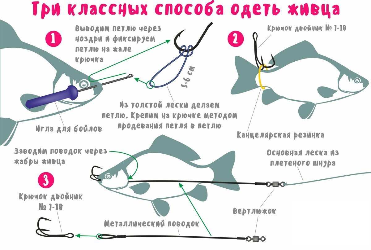 Ловля щуки летом: на спиннинг и на живца