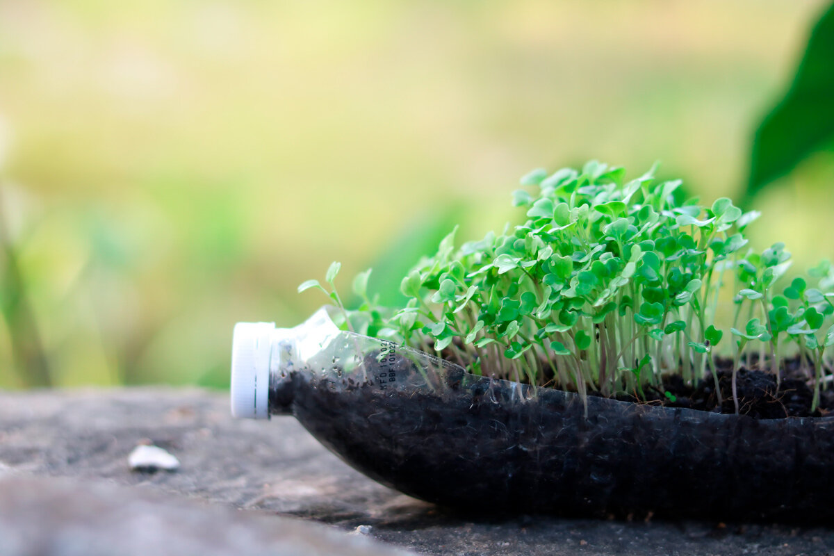    Фото: shamiss / Shuttesrctock.com