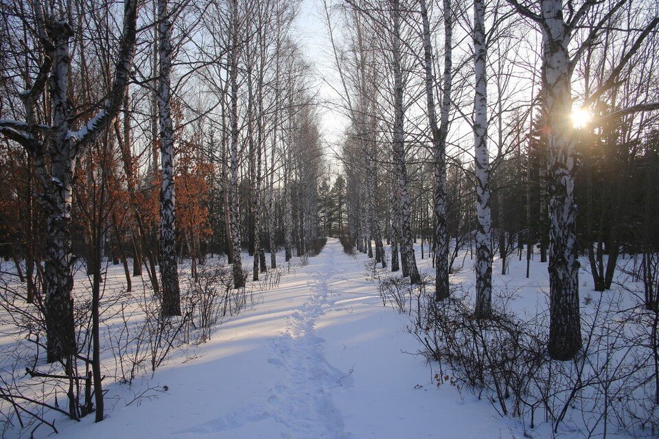     В Красноярске на 23 февраля потеплеет до -2 градусов  ИВАНОВА Диана