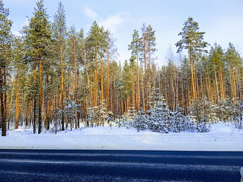 Специально останавливались - красота))