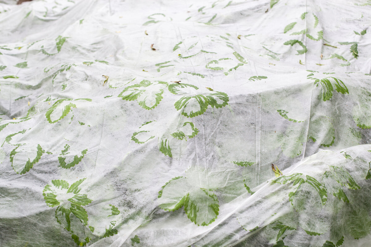    Спанбонд в помощь дачнику