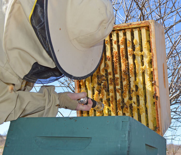 Весенняя ревизия