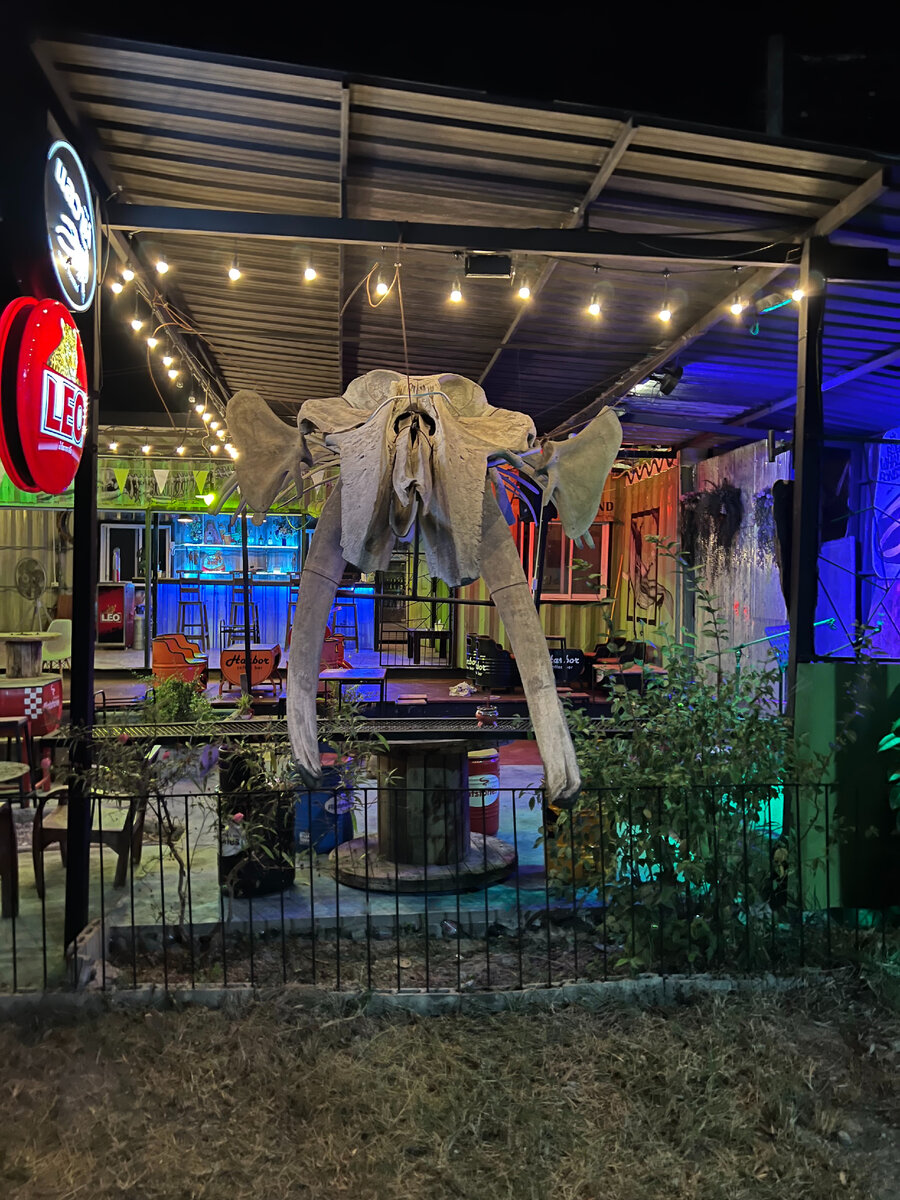 Скилет кита в кафешке на Ко Тао