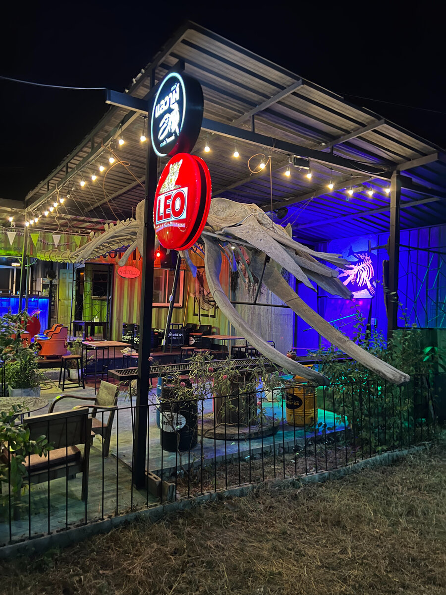 В Таиланде мы провели 3 месяца, намотали более 4 тыс км на скутере с прицепом. Хочется подытожить. Мы тут не первый раз много колесили и до этого без собаки, на скутере и на своих двоих.-11-2