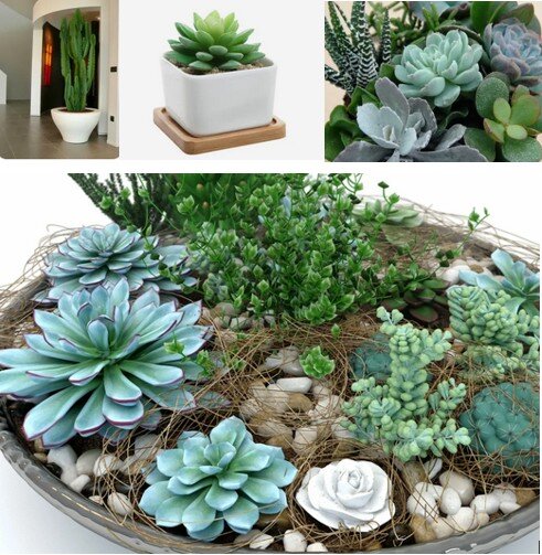 Картинка из свободного доступа интернета