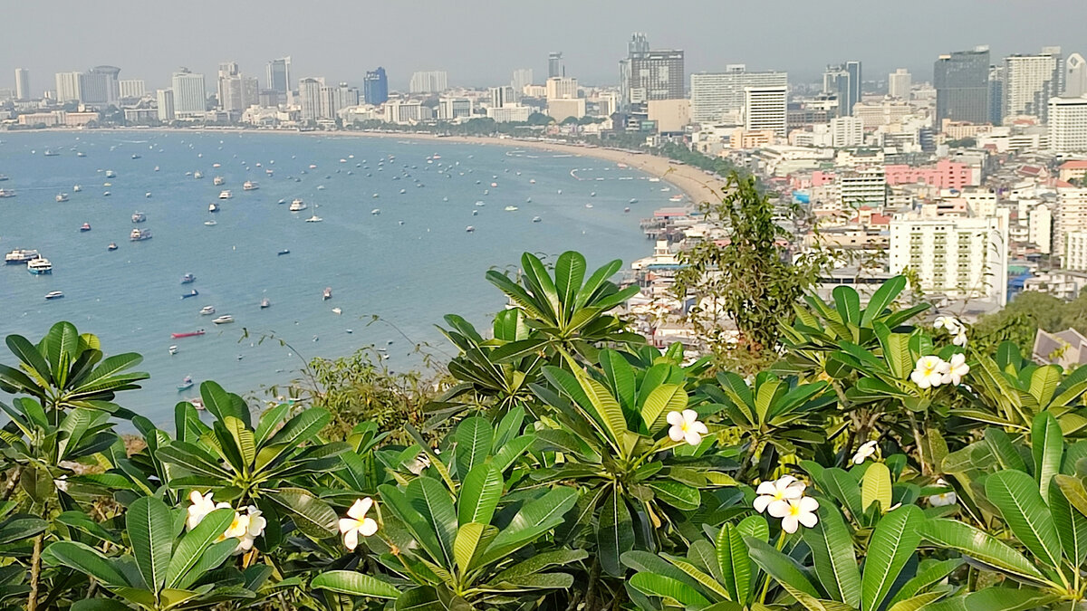 И потом сразу, рраз, и вся Паттайя, как на ладони! И один из символов Таиланда - цветы плюмерии.